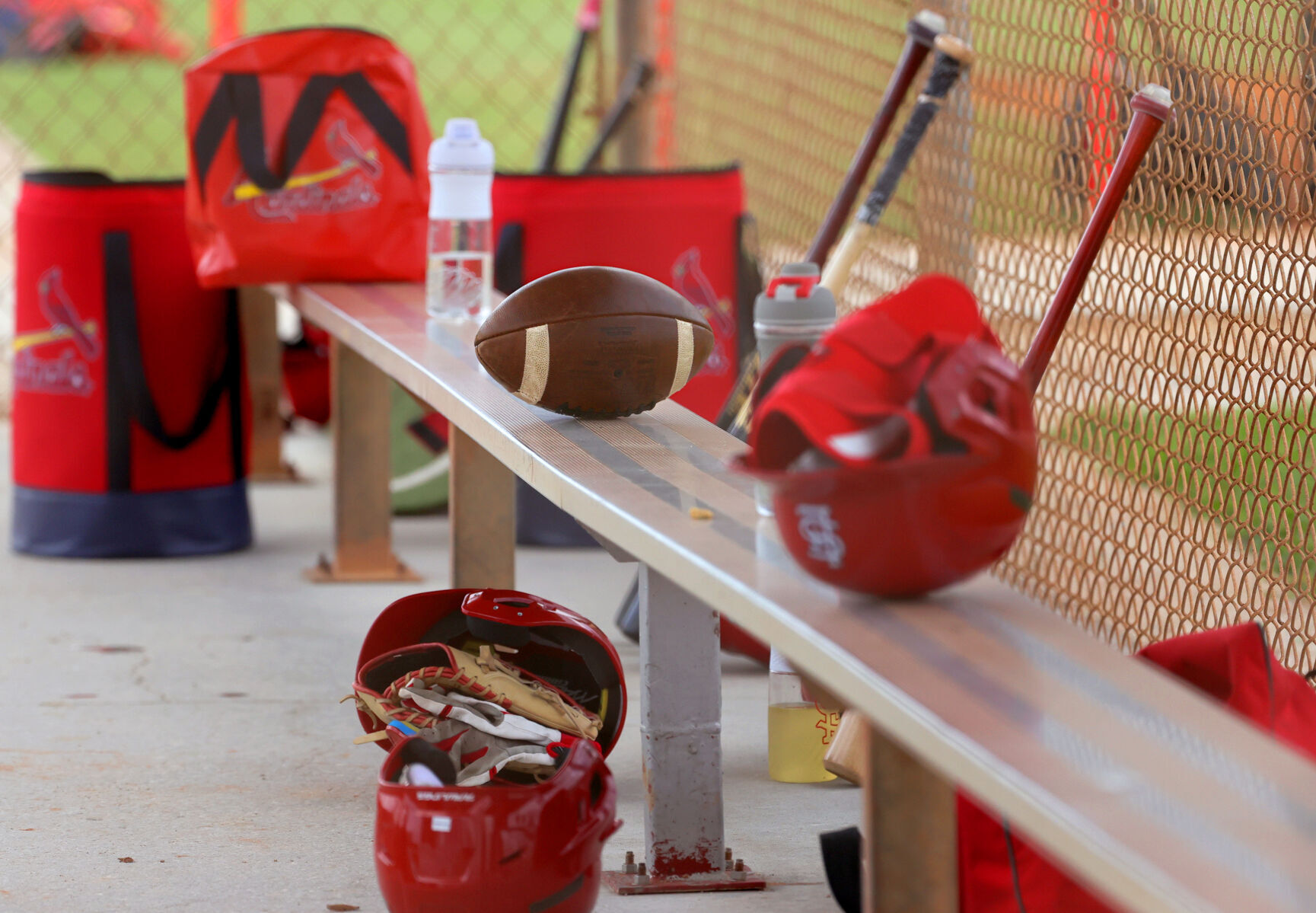 Cardinals minor-league spring training day four in Jupiter